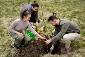 aim-team-building-permaculture