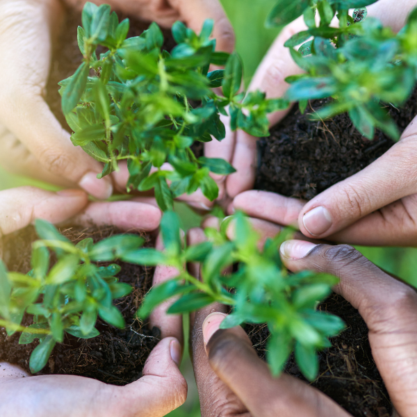 aim-ecologie-equipe